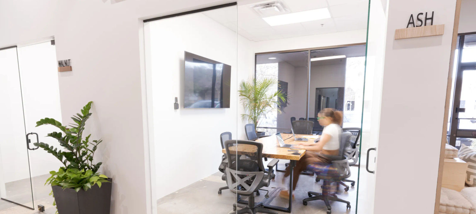 2609 Technology Dr, Plano - Image 1