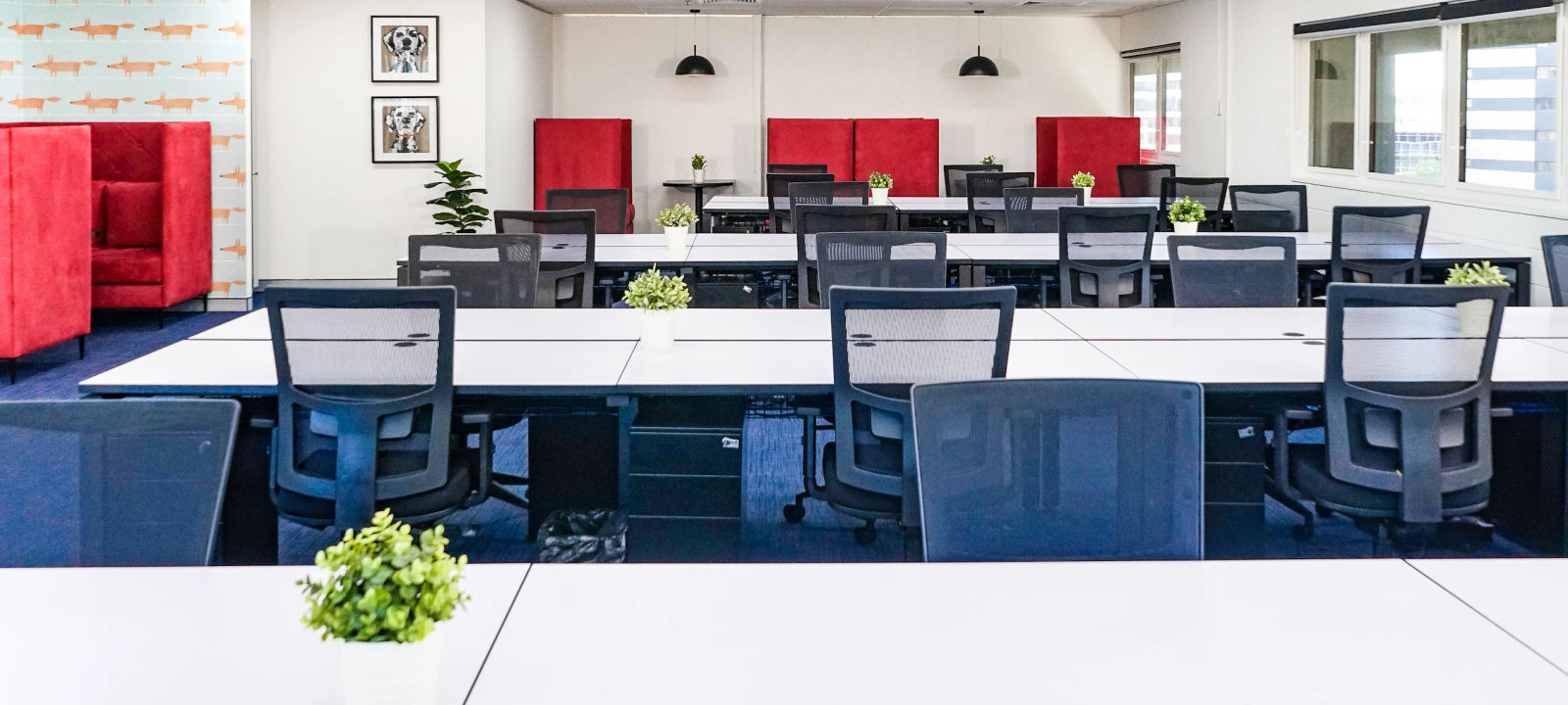 56 Berry Street, North Sydney - Image 1