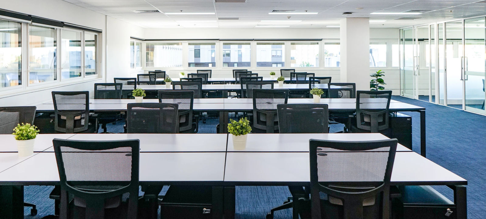 56 Berry Street, North Sydney - Image 1