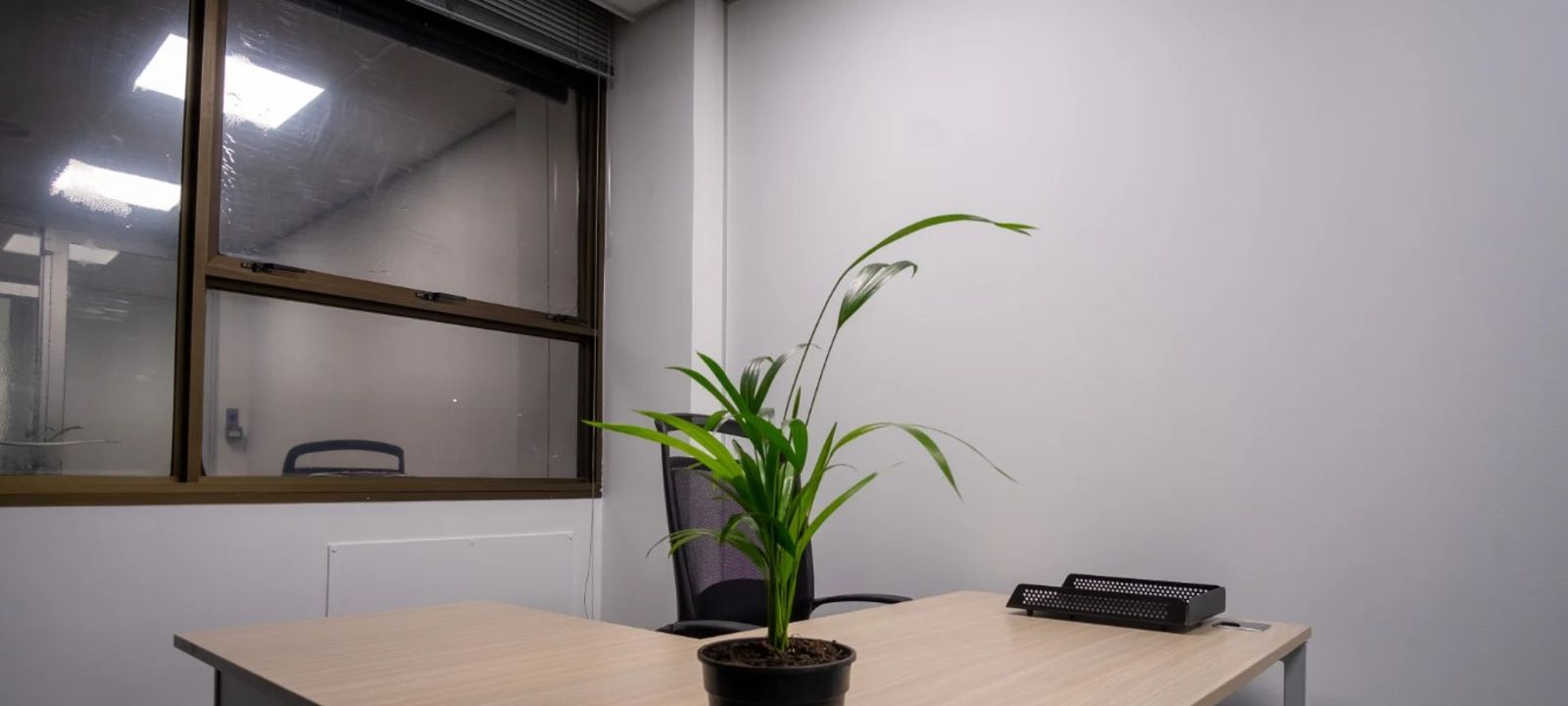 138 Kelvin Drive, Morningside - Image 1