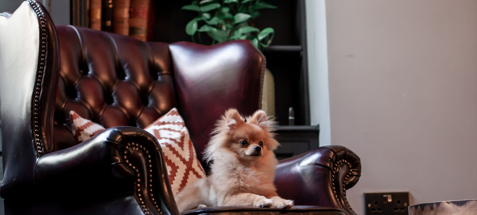 1 Bedford Row, Greater London - Image 1