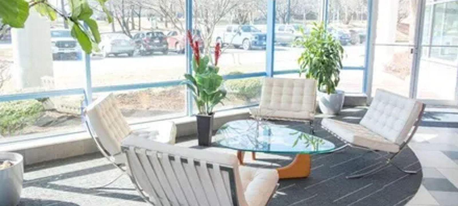 2 Burlington Woods Drive, Burlington - Image 1