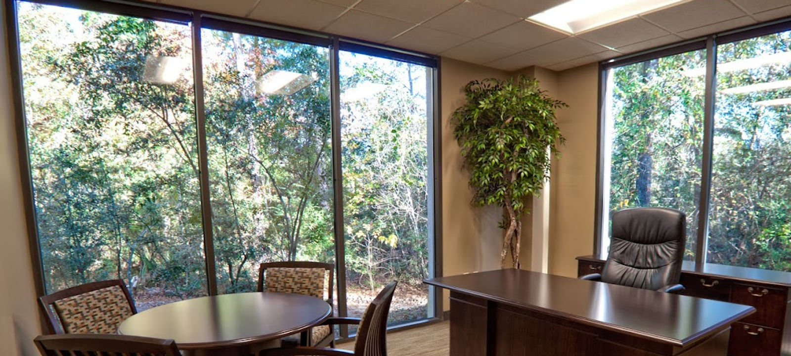 1095 Evergreen Cir, The Woodlands - Image 1