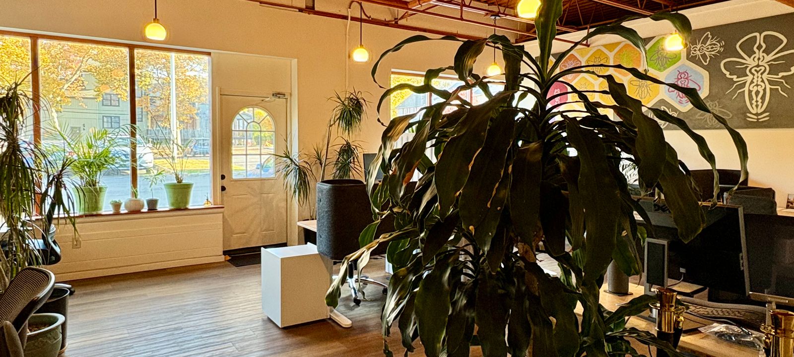 6 Eliza Street, Beacon - Image 1