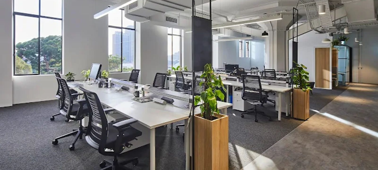 223 Liverpool Street, Darlinghurst - Image 1