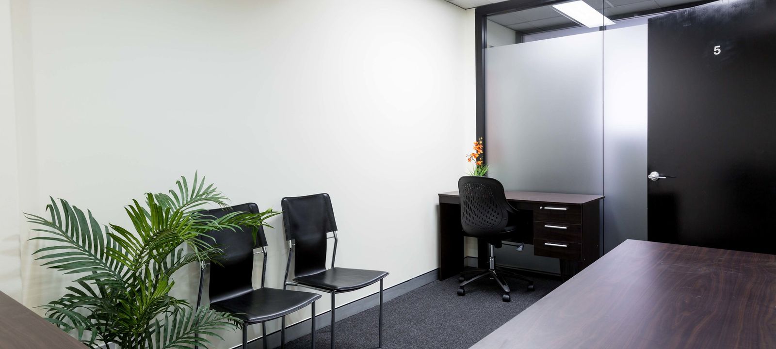 46 Cavill Avenue, Surfers Paradise - Image 1