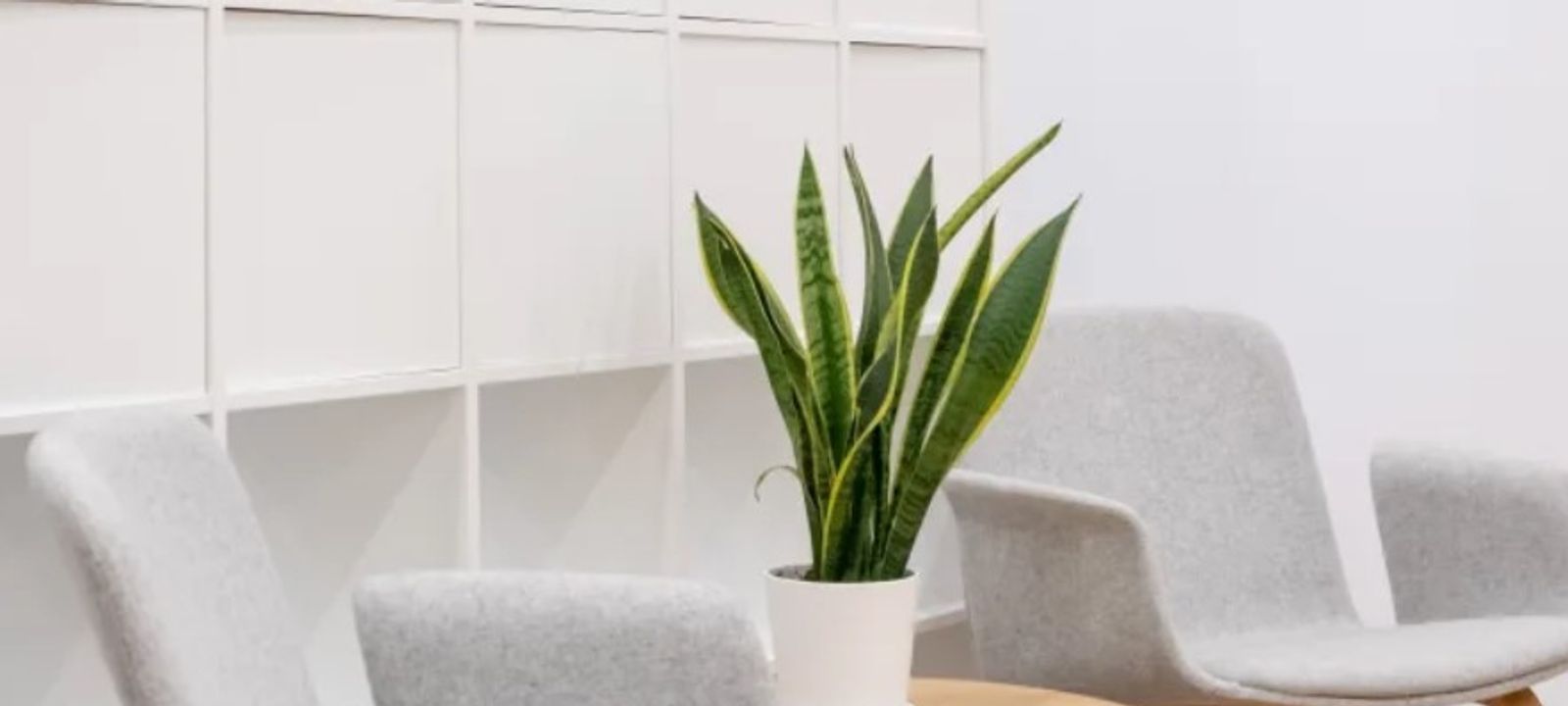 3223 S Loop 289, Lubbock - Image 1