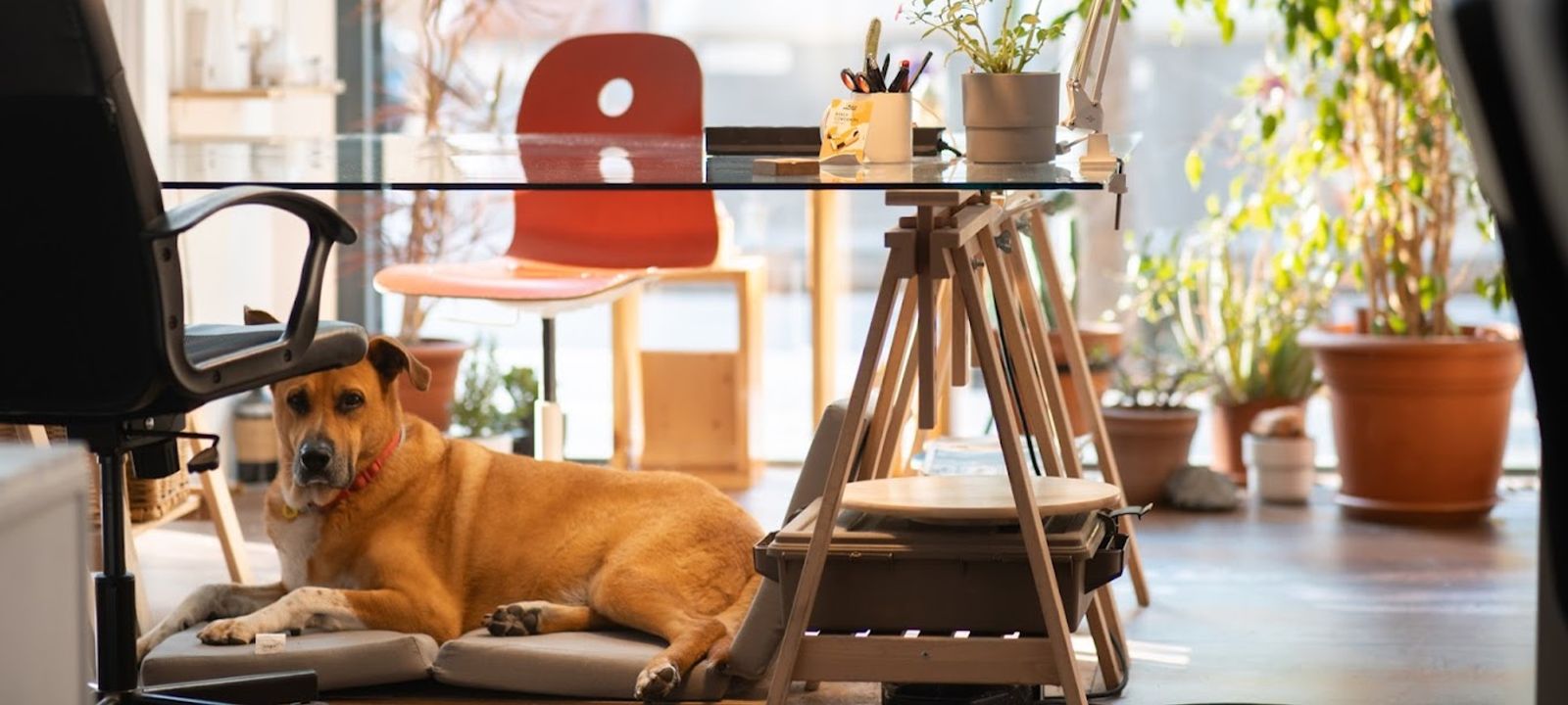 74 Carrer Del Perello, Barcelona - Image 1