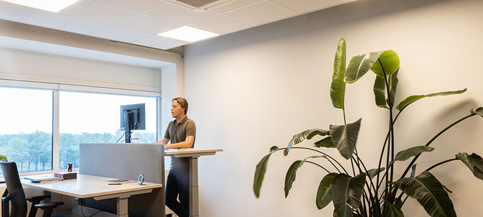 Coen Building - Image 1