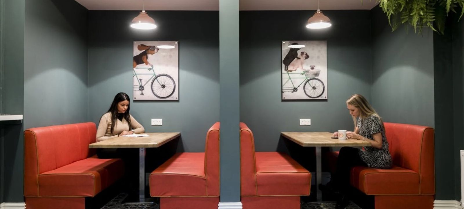 26-27 Mount Street Upper, Dublin - Image 1