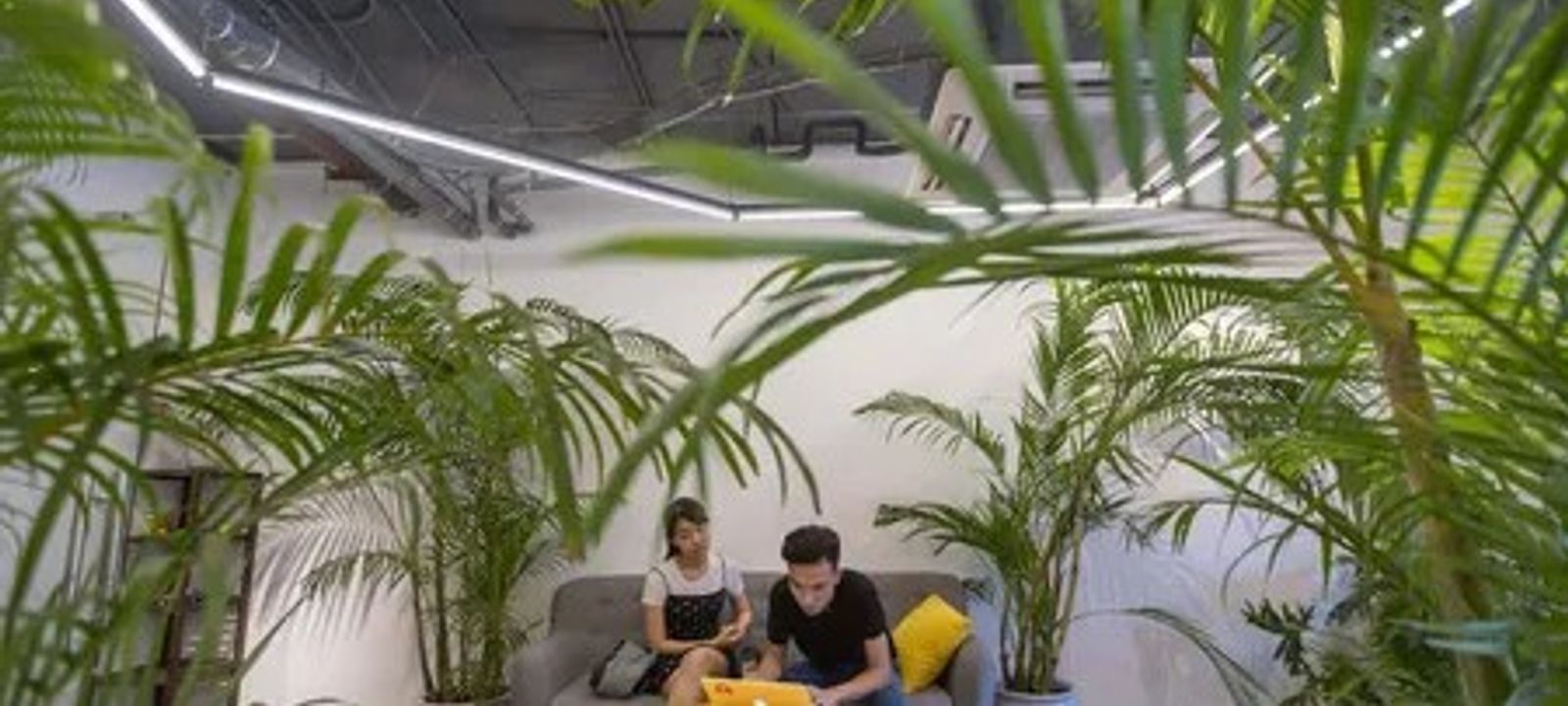 Hoang Dao Thuy, Cau Giay District - Image 1