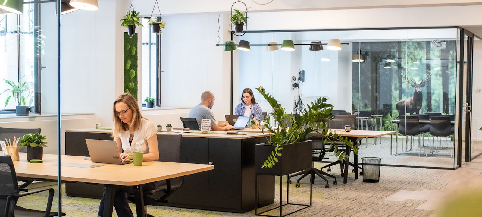 41 Lindenallee, Essen - Image 1