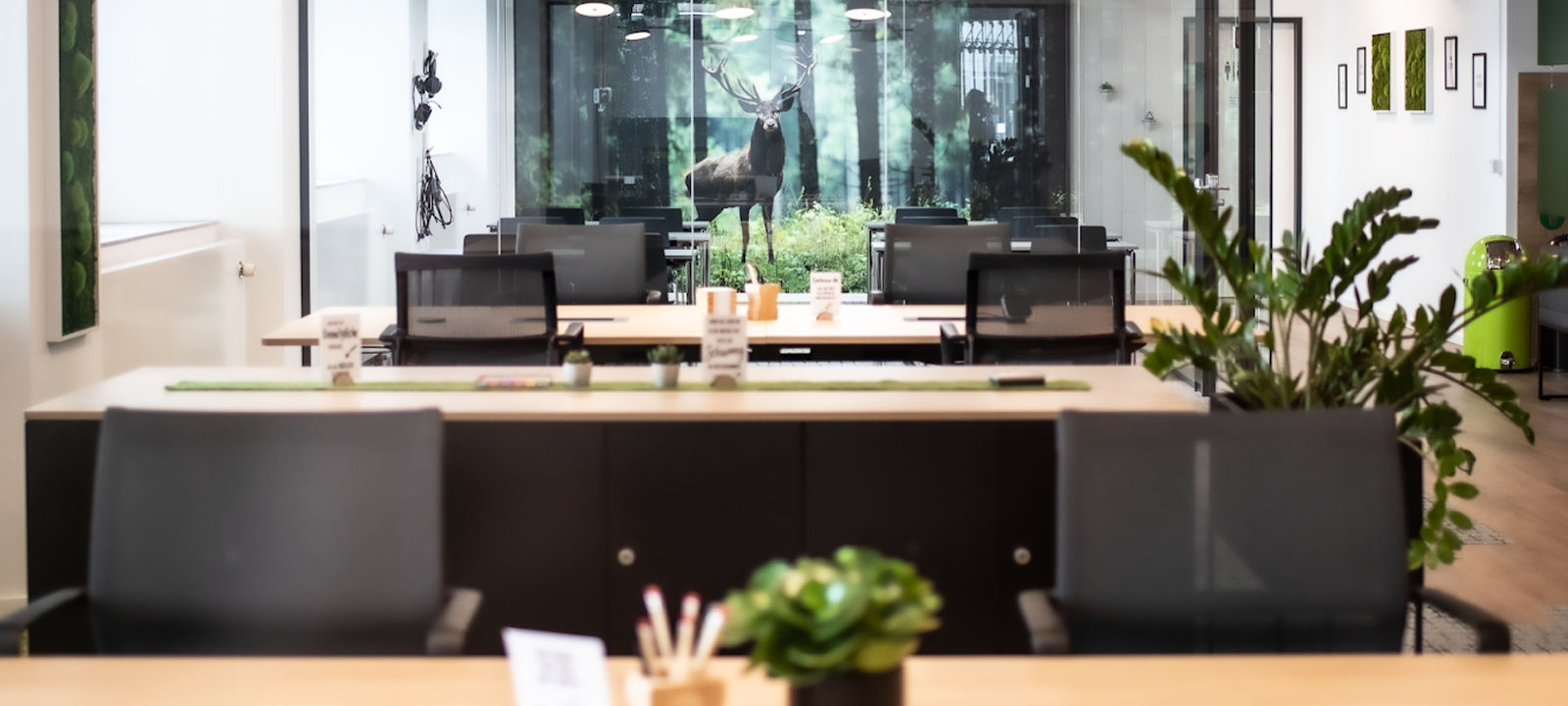 41 Lindenallee, Essen - Image 1