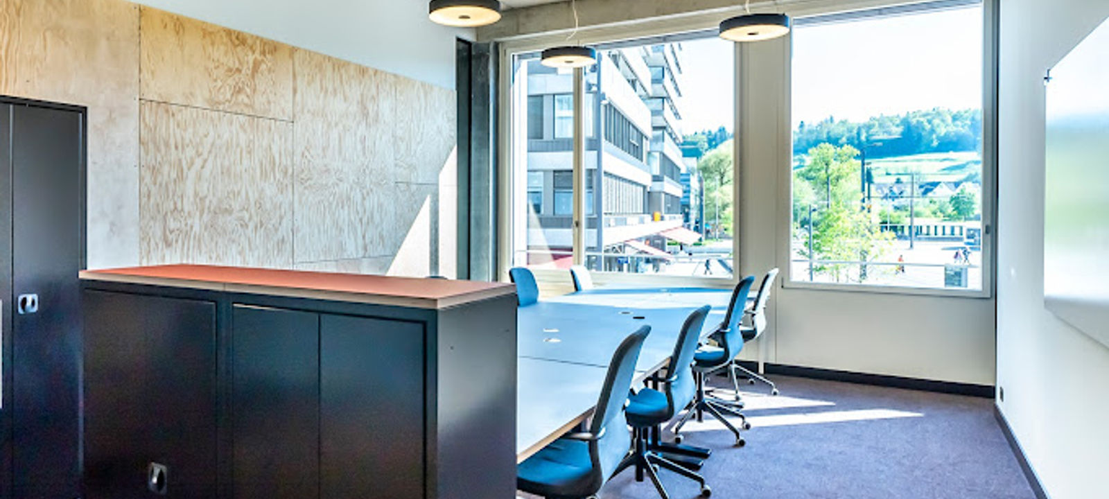 11 Am Stadtrand, Dübendorf - Image 1