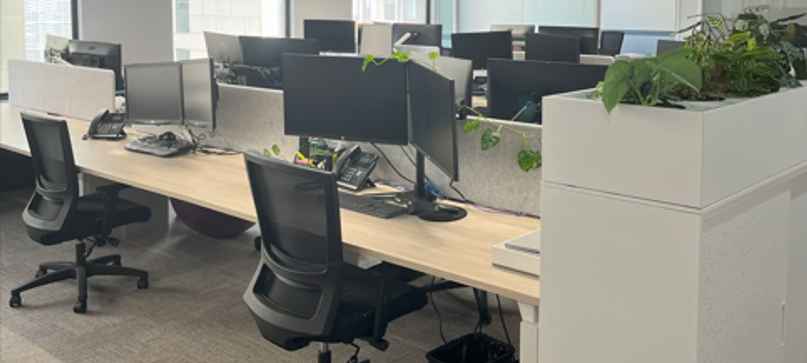 390 St Kilda Road, Melbourne - Image 1