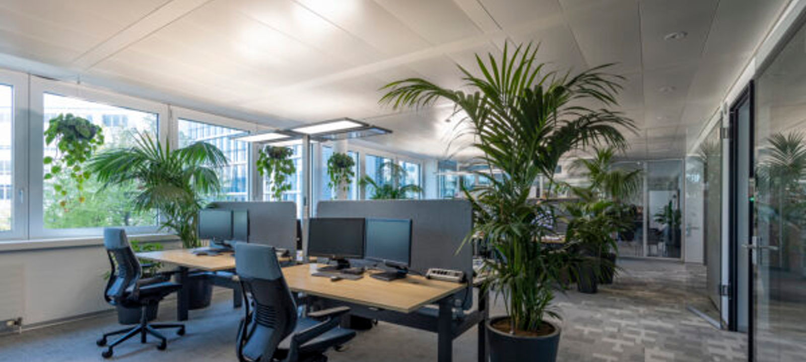 Glattbrugg Airportal - Image 1