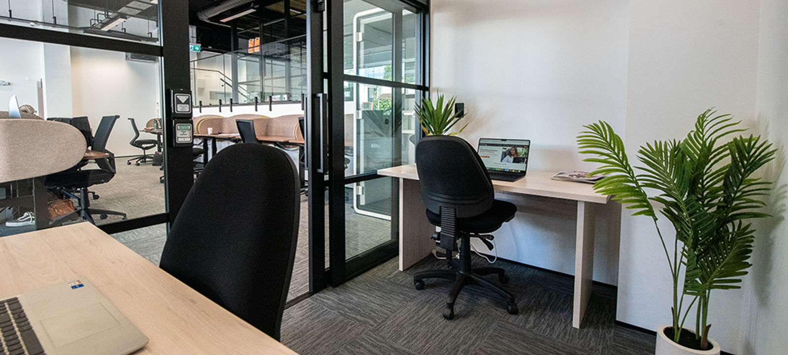 526 Victoria Street, Hamilton - Image 1