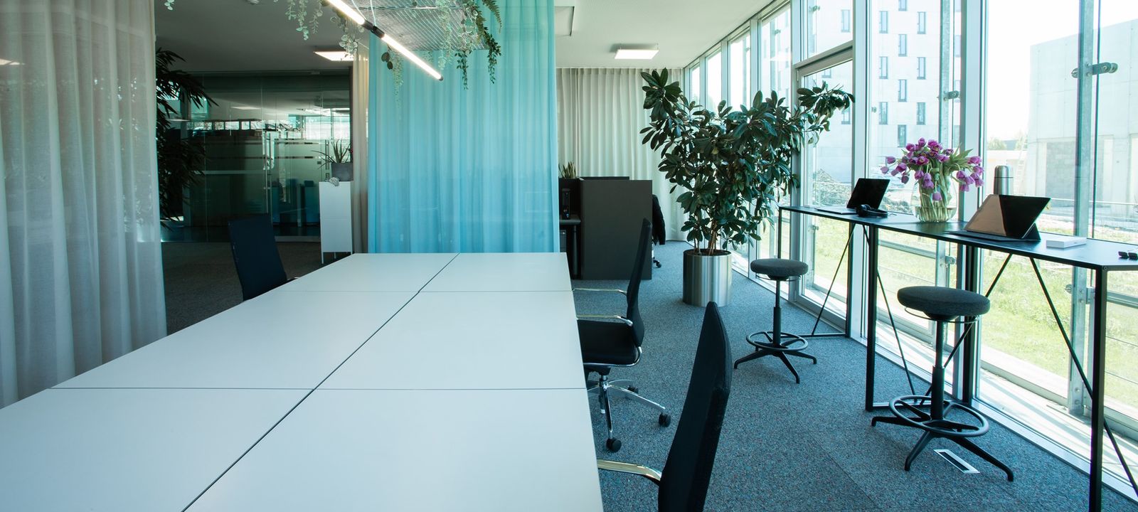 Millennium Pk 6, Lustenau - Image 1