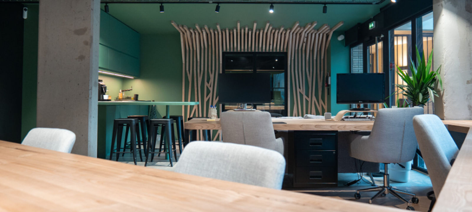 15 Rue Bertrand De Born, Toulouse - Image 1