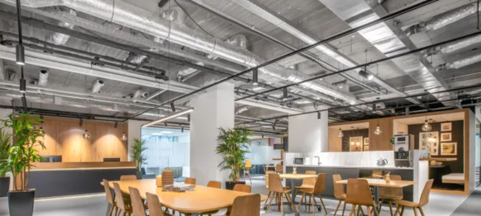 11 Kohlgartenstr, Leipzig - Image 1