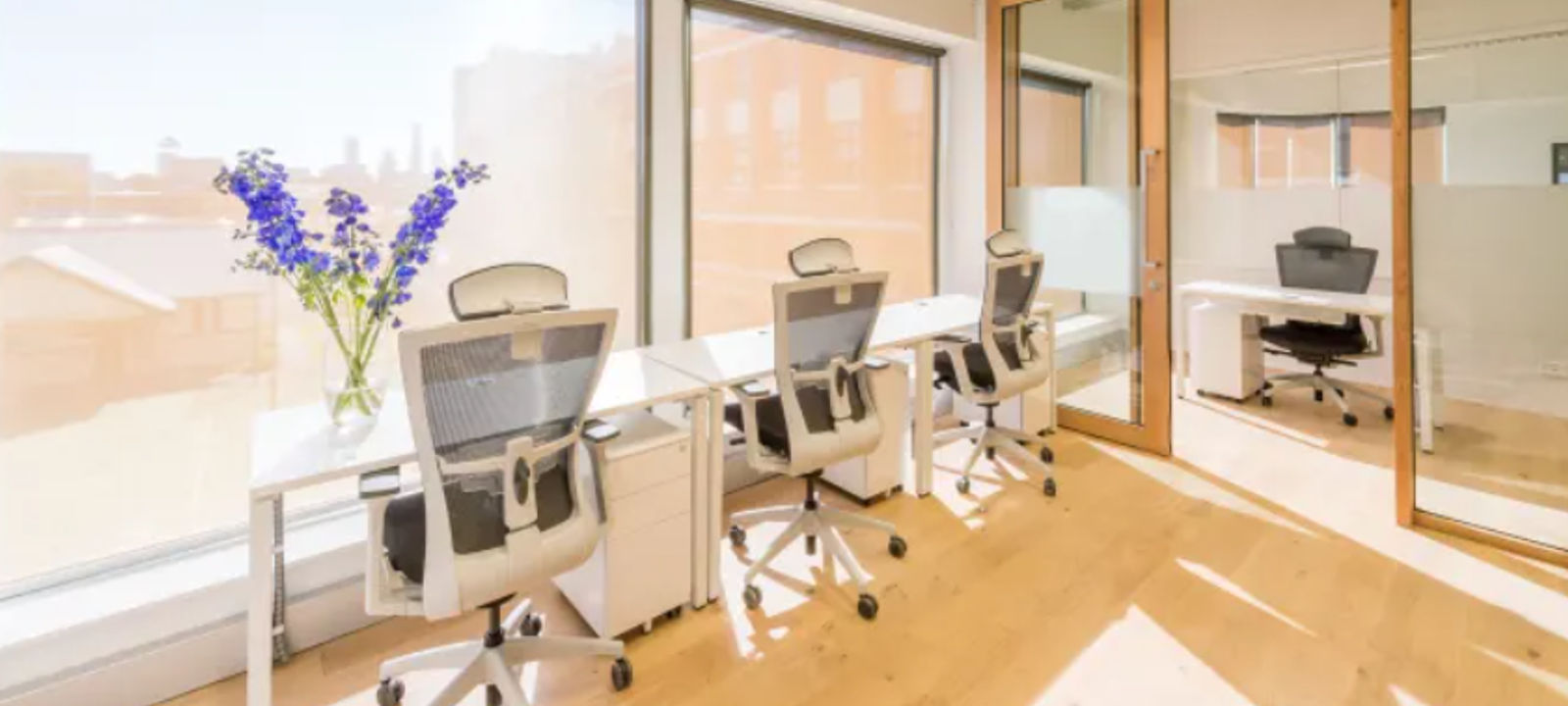 11 Kohlgartenstr, Leipzig - Image 1