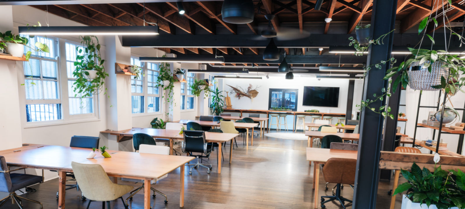 137-141 Bridge Road, Glebe - Image 1