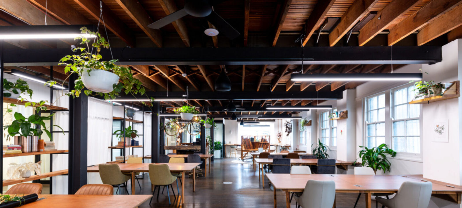 137-141 Bridge Road, Glebe - Image 1