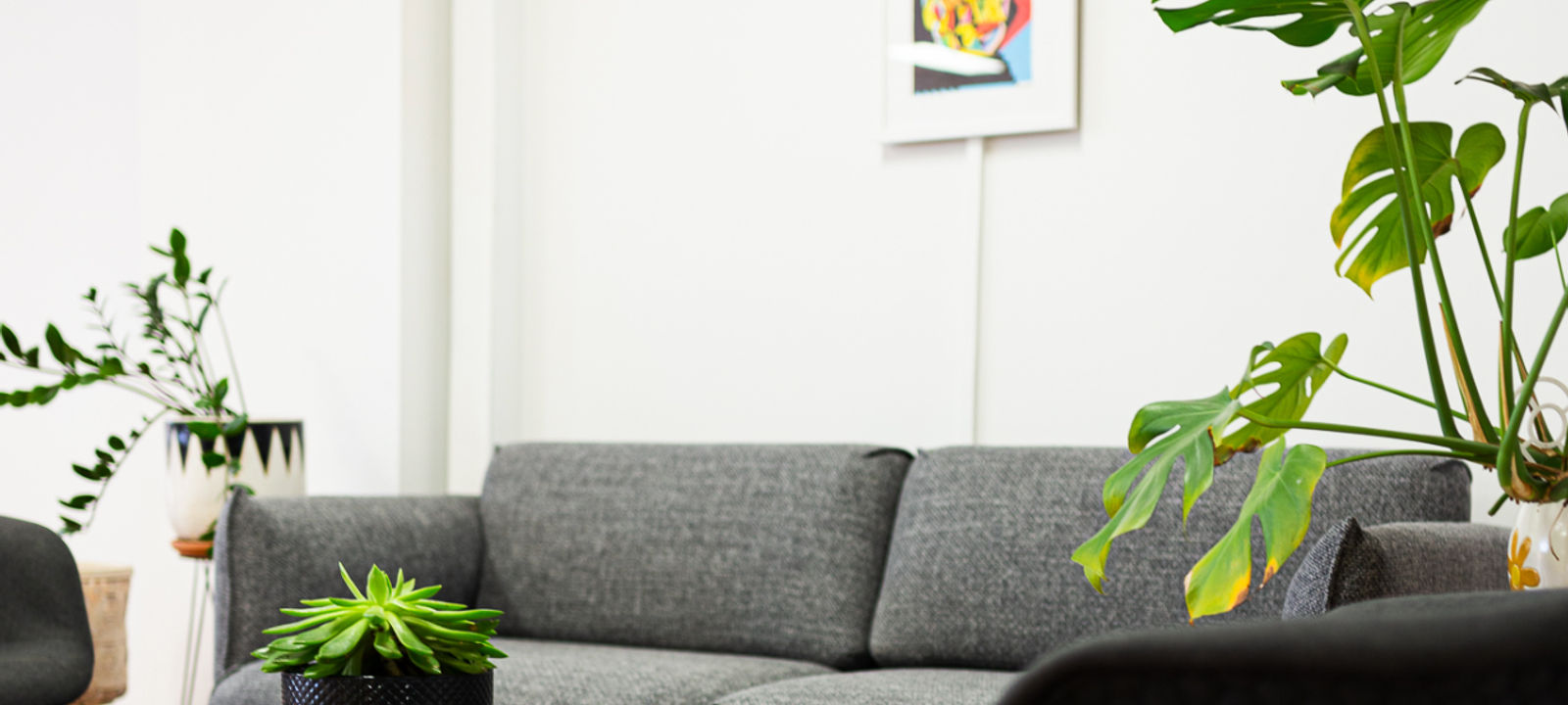 452 Pulteney Street, Adelaide - Image 1