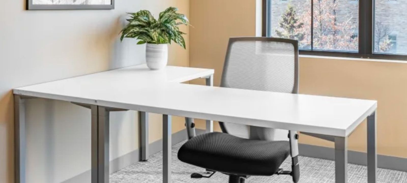 2321 Whitney Ave, Hamden - Image 1