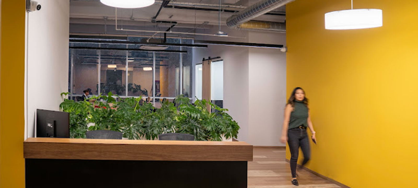 866 Av Insurgentes Sur, Colonia Del Valle - Image 1