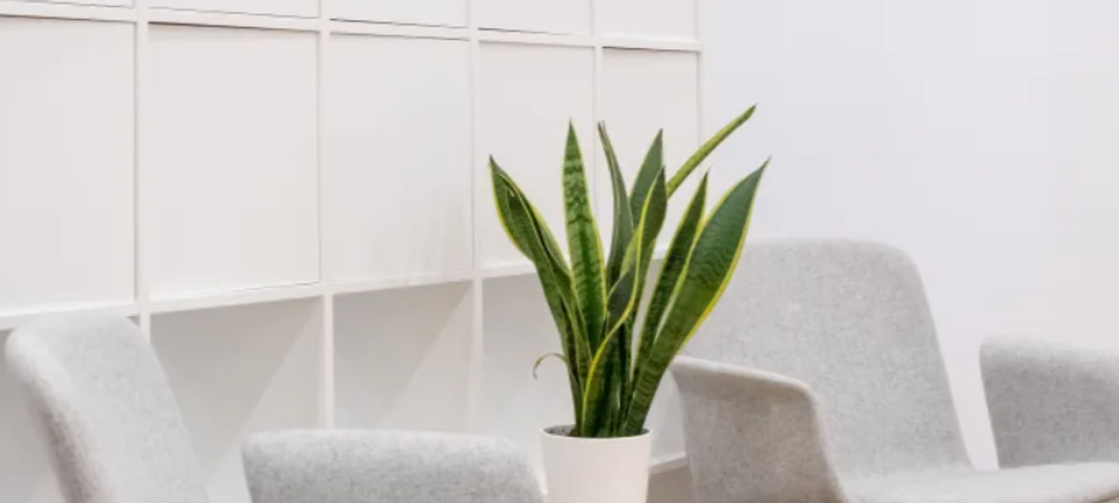 Akti Kondili & Mavromichali, Piraeus - Image 1