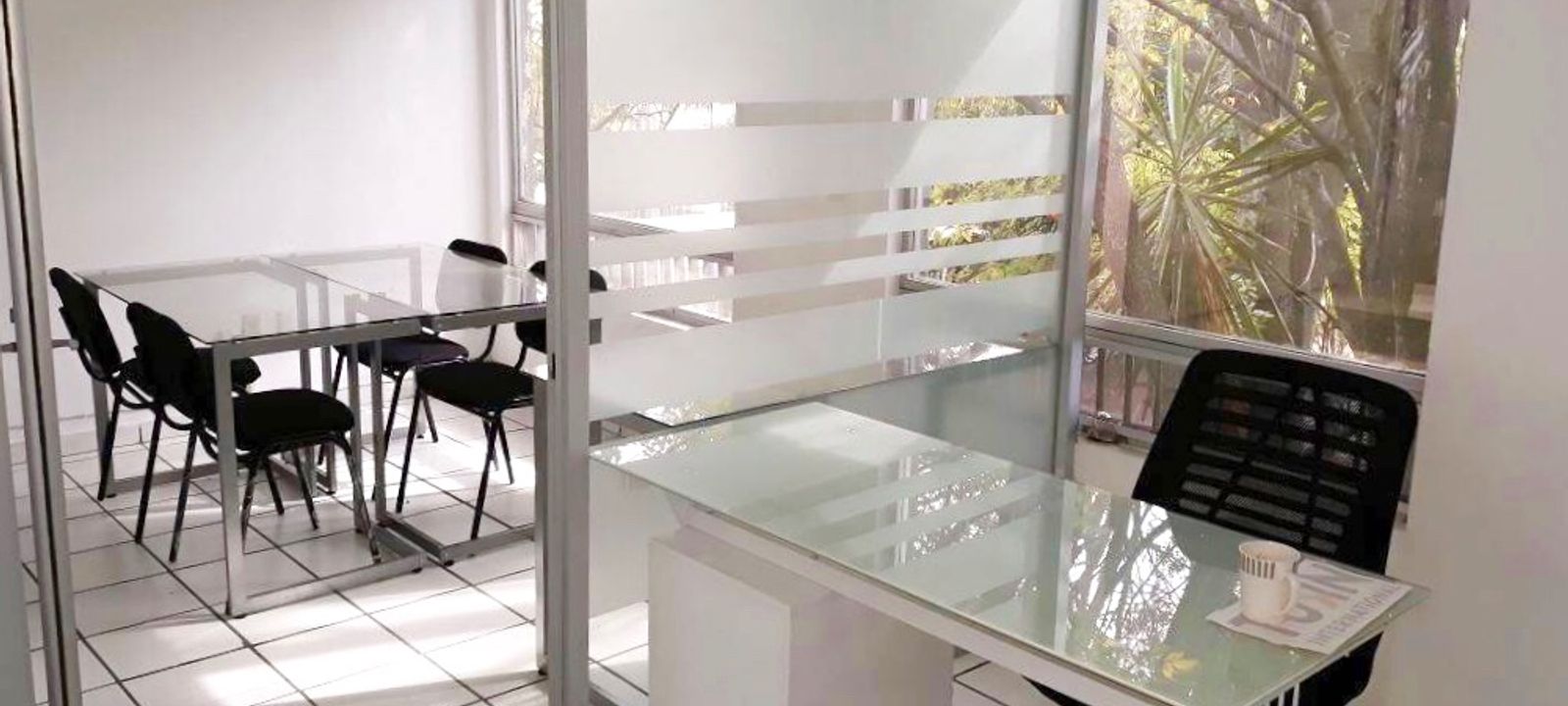 2496 Calle Efraín González Luna  Arcos, Guadalajara - Image 1