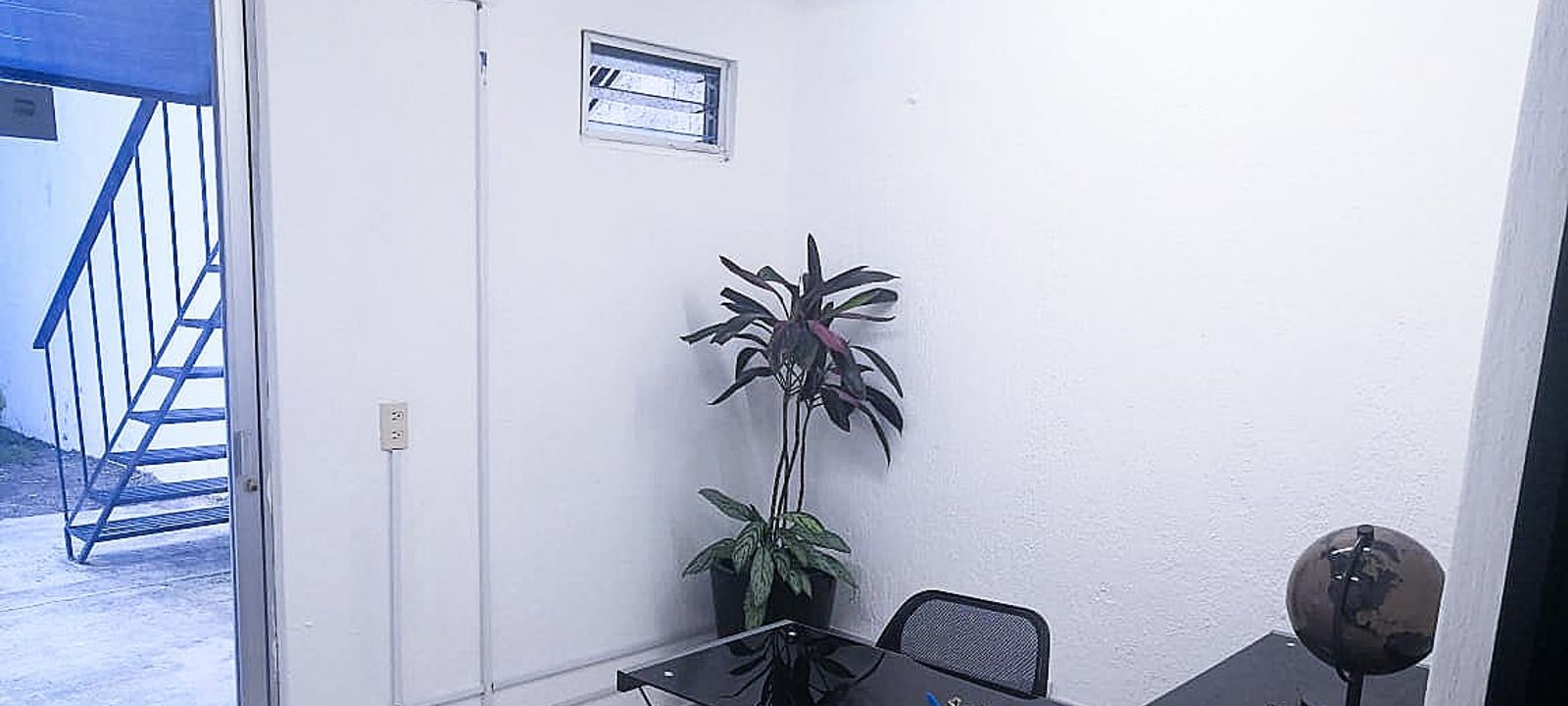 2496 Calle Efraín González Luna  Arcos, Guadalajara - Image 1