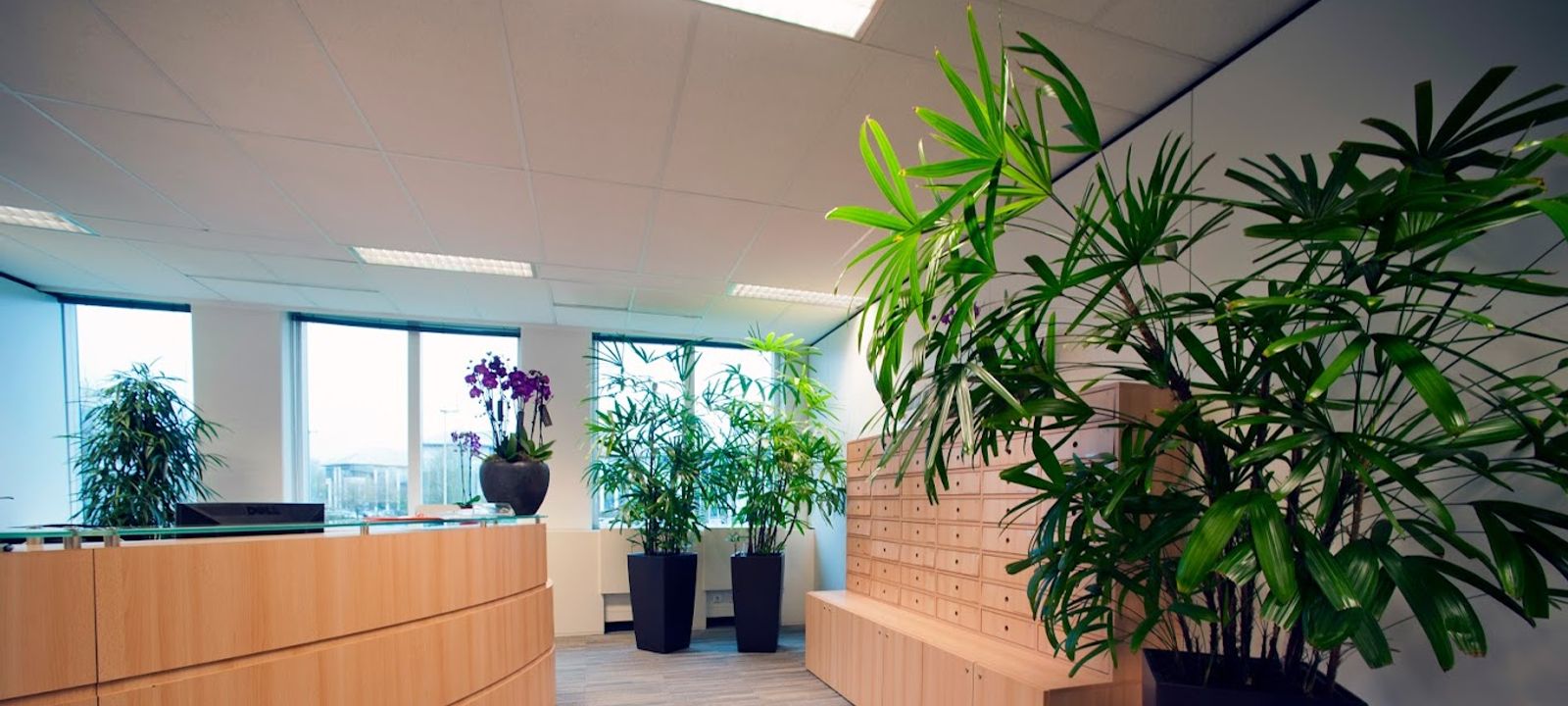6 H Collines De Av Pasteur, Wavre - Image 1