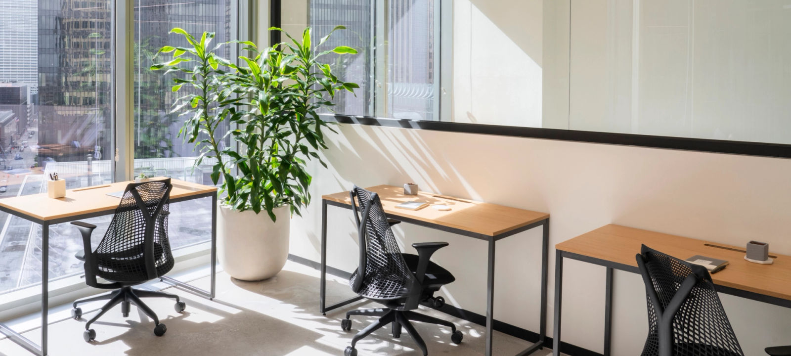 356 Wythe 356 Wythe, Brooklyn - Image 1