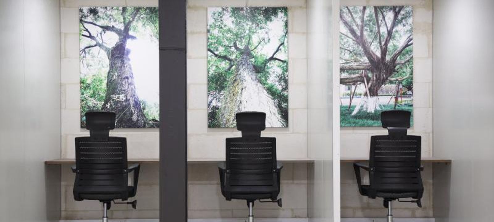 9 The Straight Avenue, Pine Slopes - Image 1