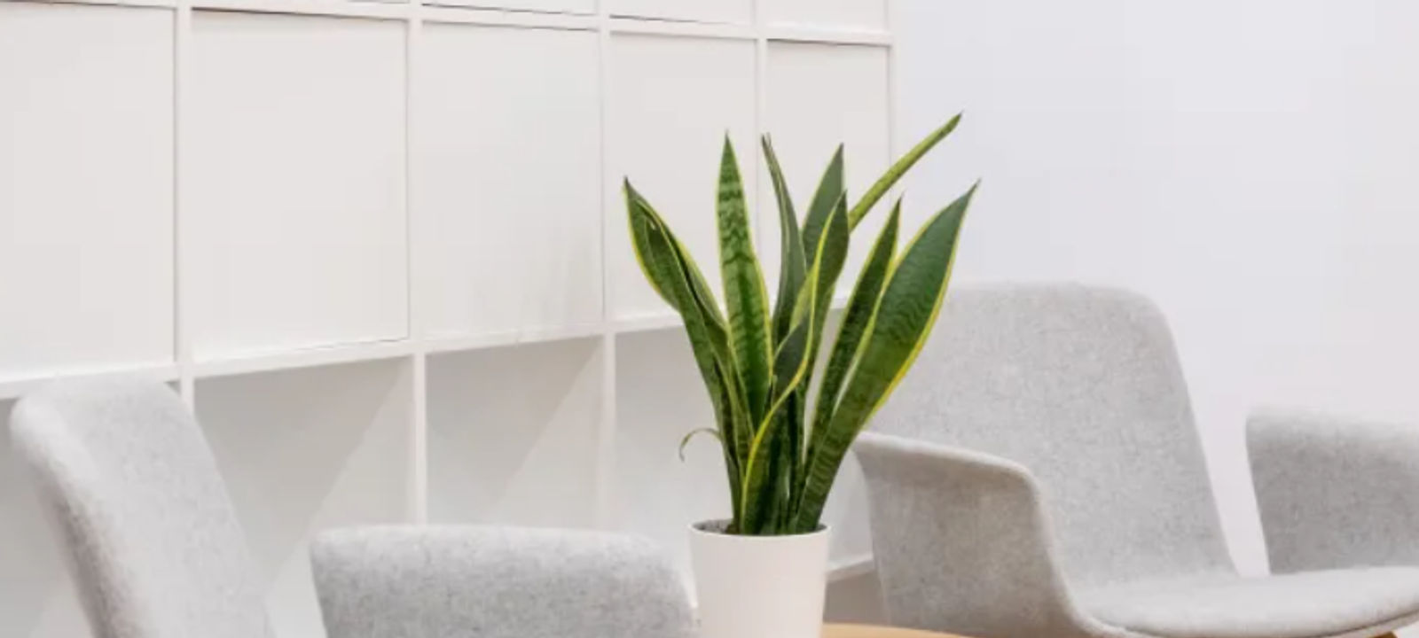 4250 Veterans Memorial Hwy, Holbrook - Image 1