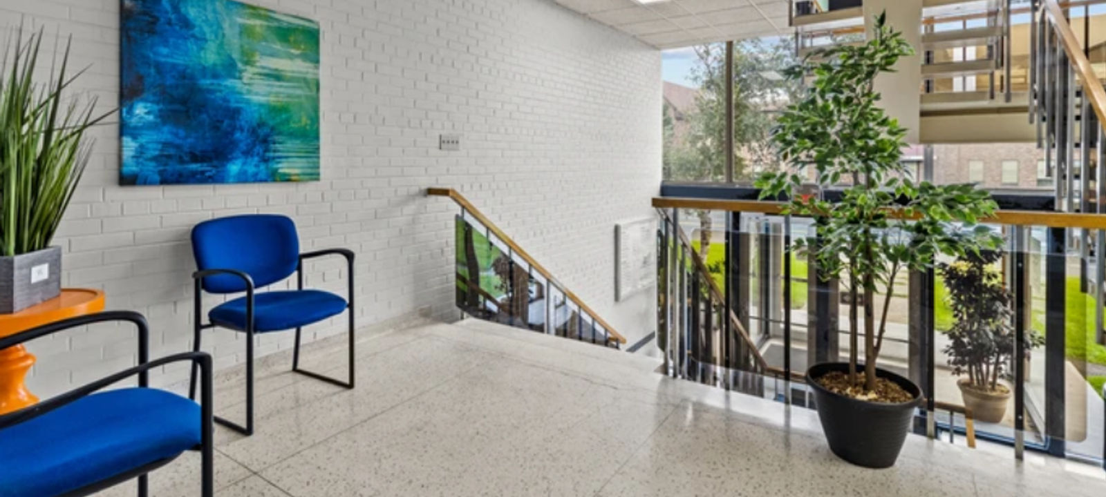 55 Elizabeth Ave, St John's - Image 1