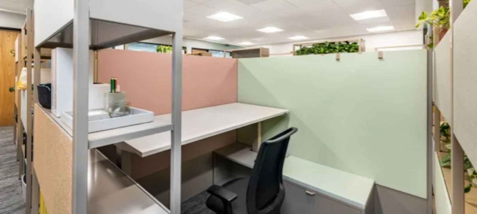 34 Charlottenstr, Dresden - Image 1