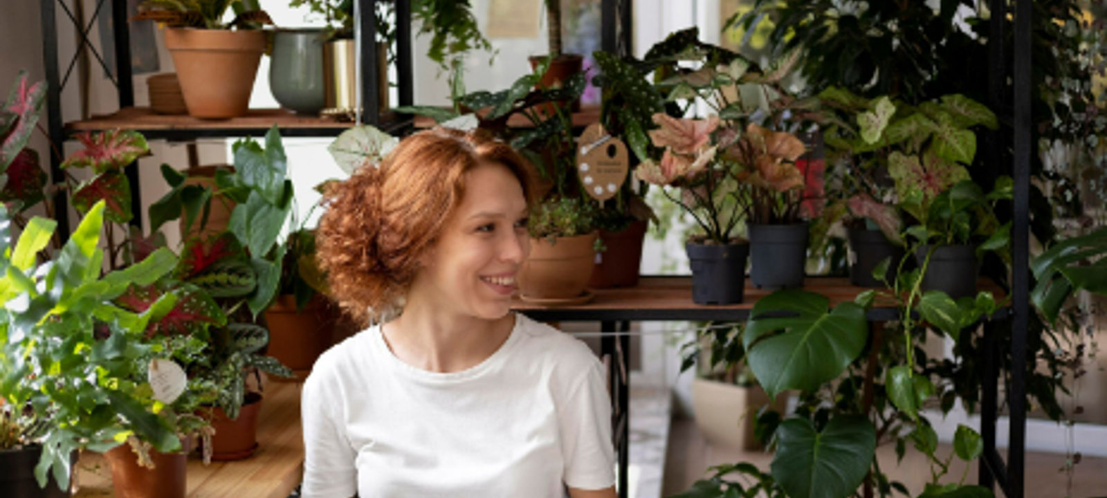 14280 Rue Rolland-desjardins, Mirabel - Image 1