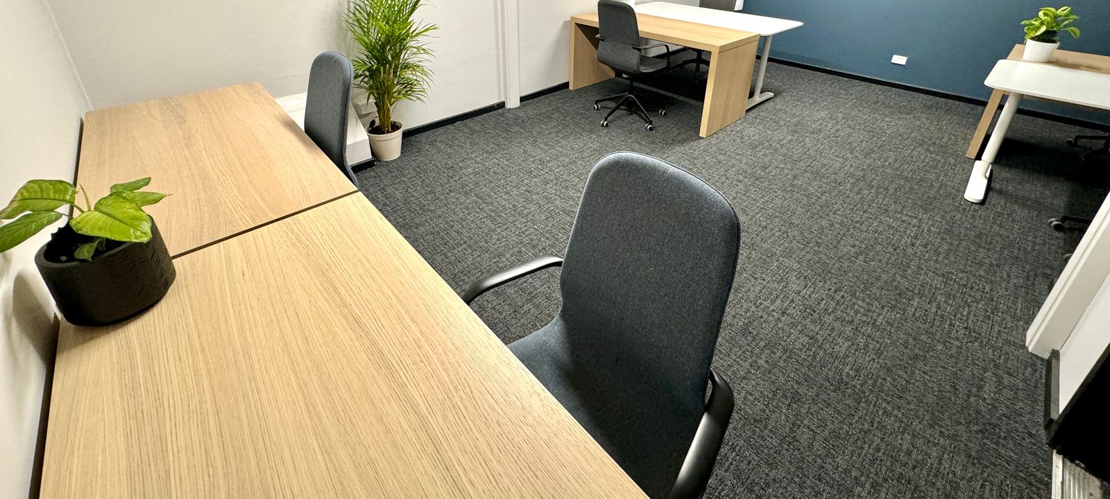 117A Murray Street, Tanunda - Image 1