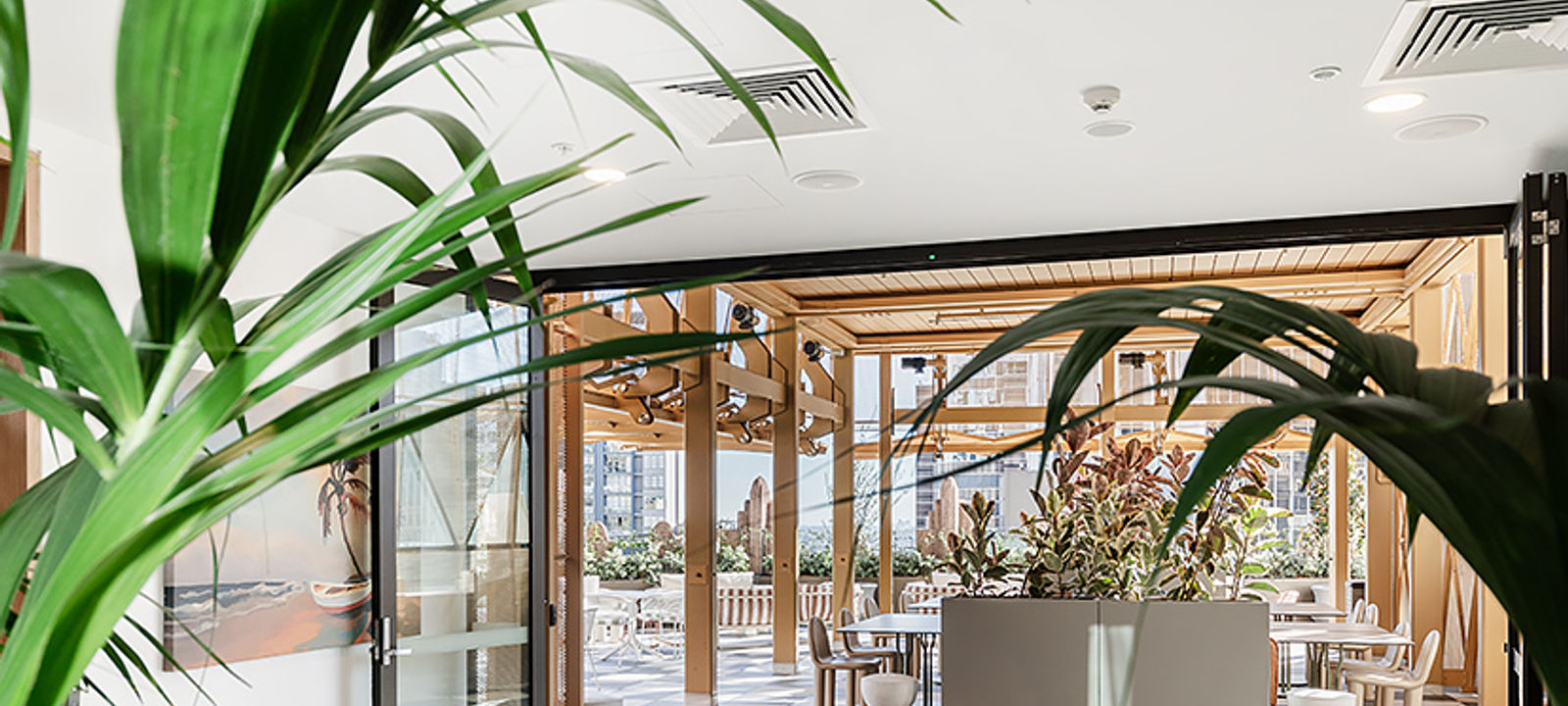 66 King Street, Sydney - Image 1