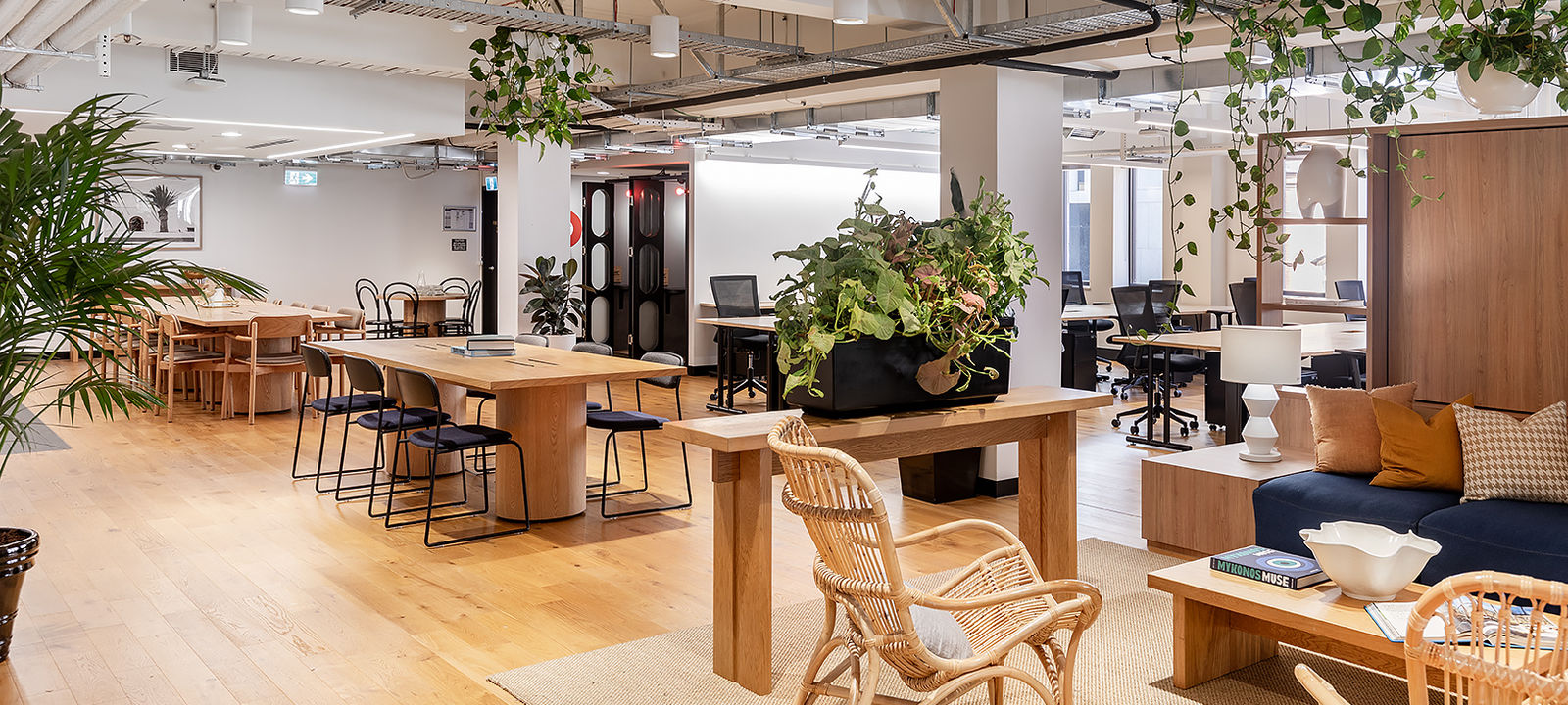 11 Person Coworking Space at 66 King Street, Sydney | Office Hub