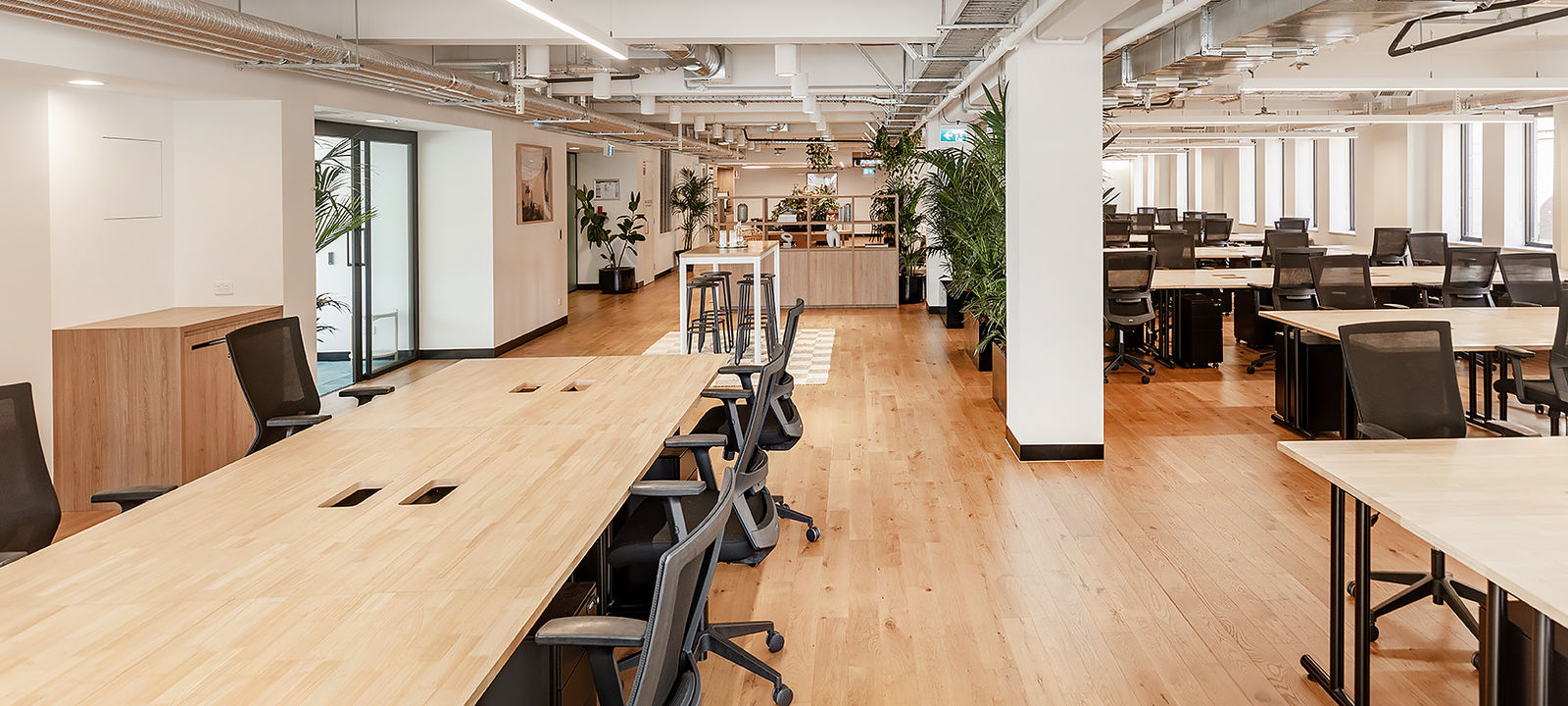 7 Person Coworking Space at 66 King Street, Sydney | Office Hub