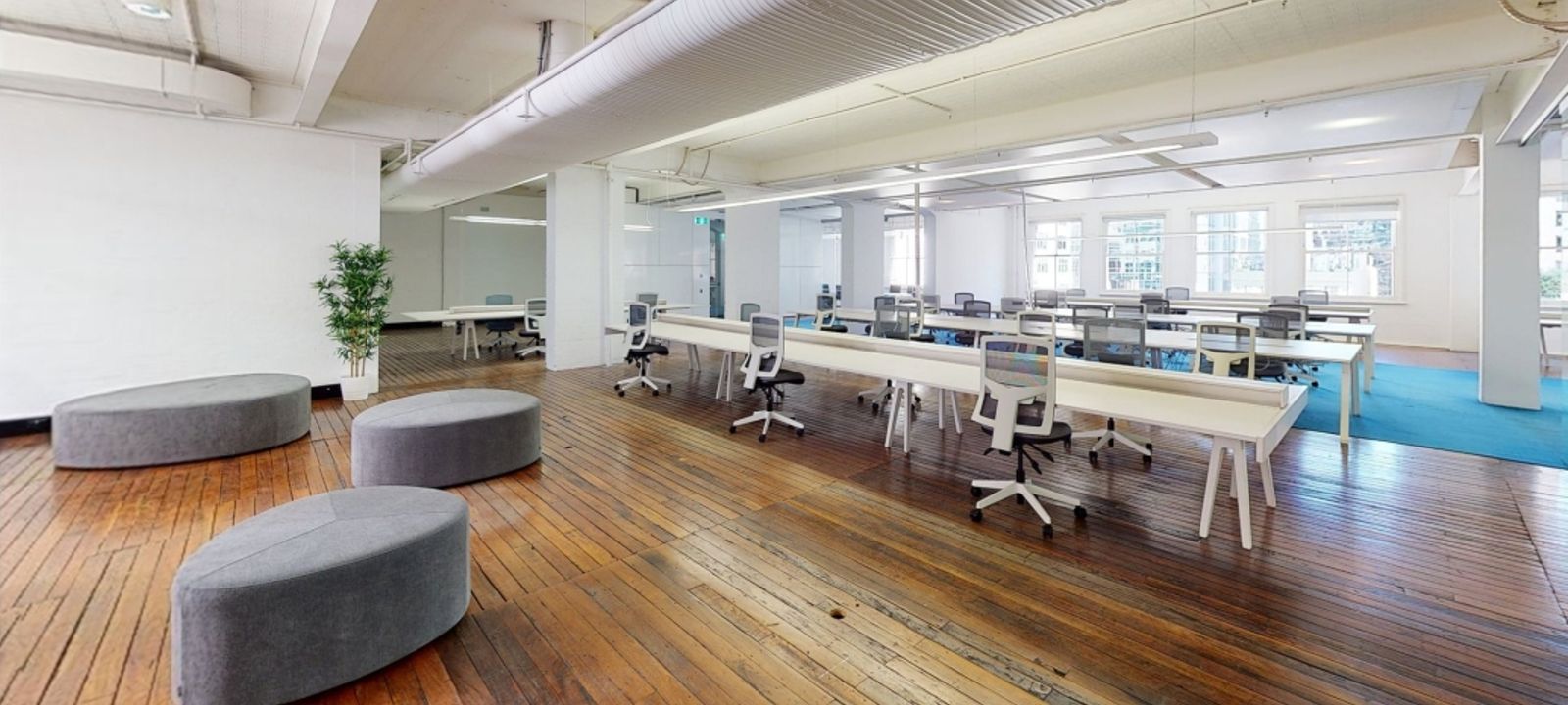 4 Person Shared Office at 156 Clarence Street, Sydney | Office Hub