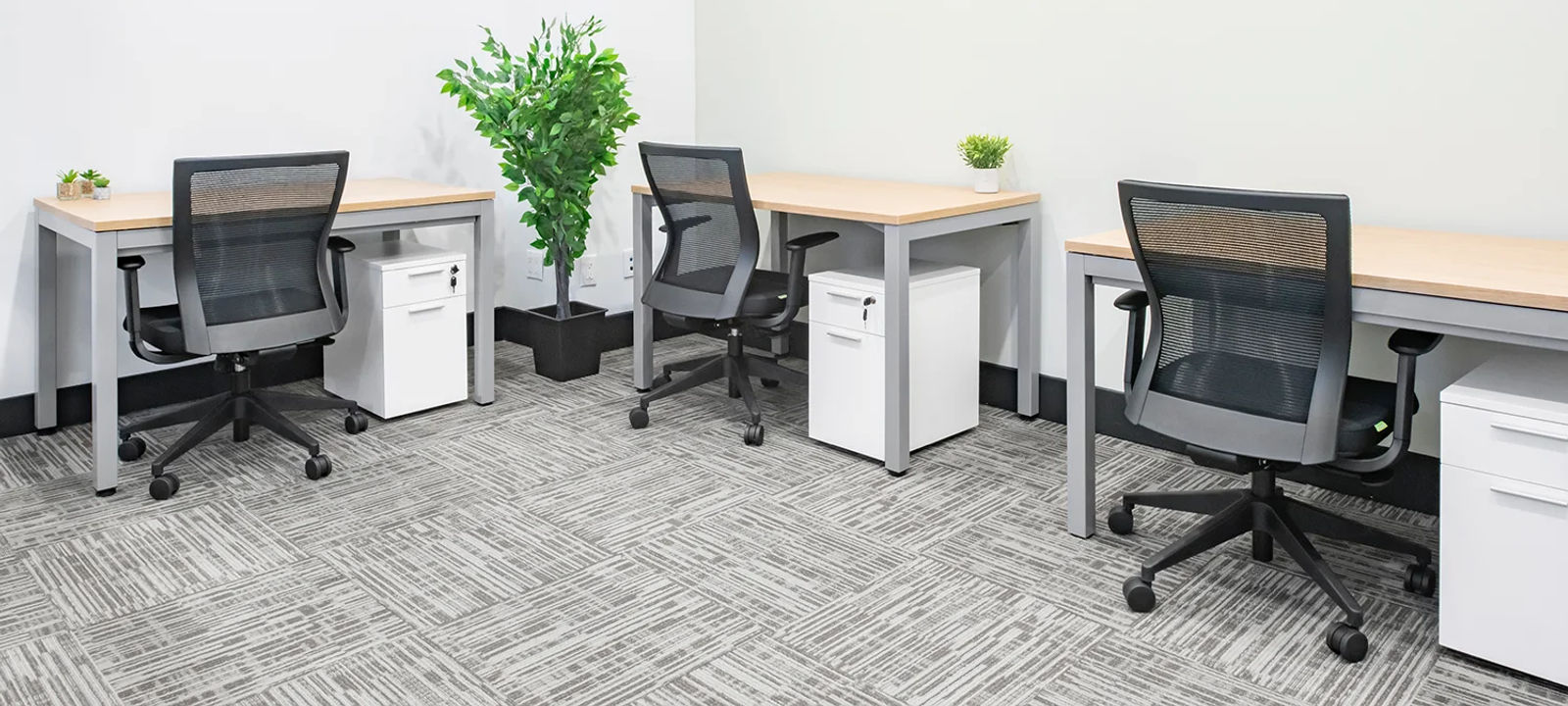 5255 Yonge St, North York - Image 1