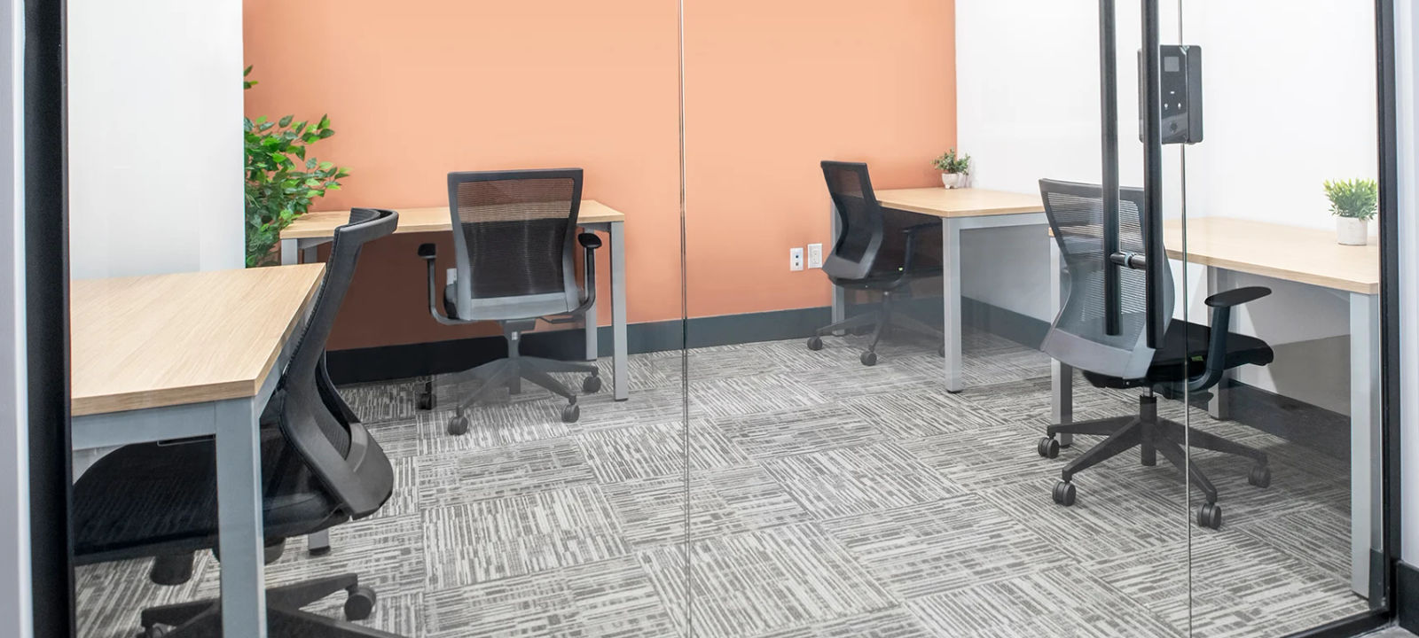 5255 Yonge St, North York - Image 1