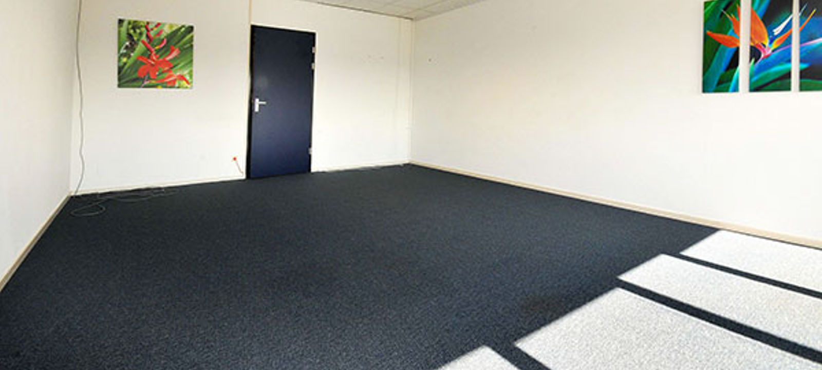 1 Stenograaf, Duiven - Image 1
