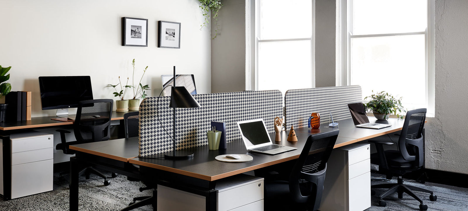 822 George Street, Chippendale - Image 1