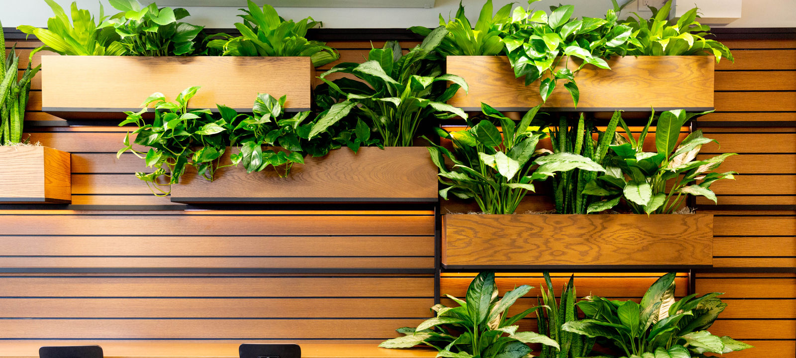 9255 Sunset Blvd, West Hollywood - Image 1